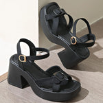 Signal black