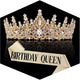 2PCS CROWN SET (gold)